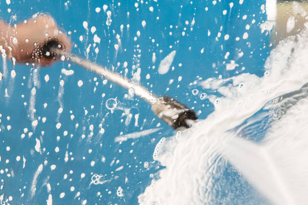 Best Animal Enclosure Cleaning  in West Bay Shore, NY